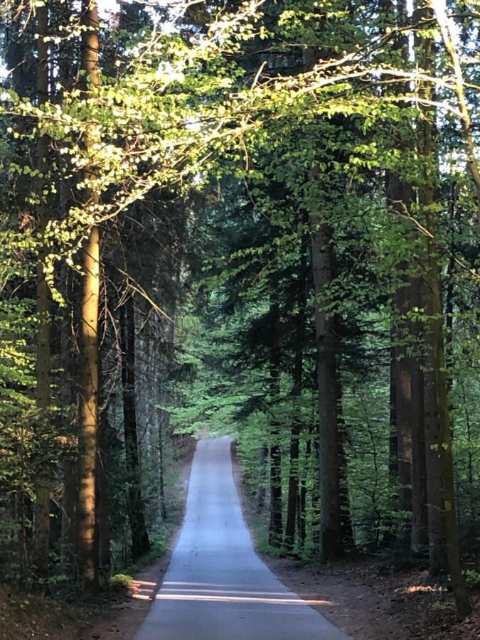 Wanderlust Chiemgau Διαμέρισμα Bad Endorf Εξωτερικό φωτογραφία