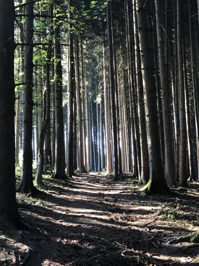 Wanderlust Chiemgau Διαμέρισμα Bad Endorf Εξωτερικό φωτογραφία