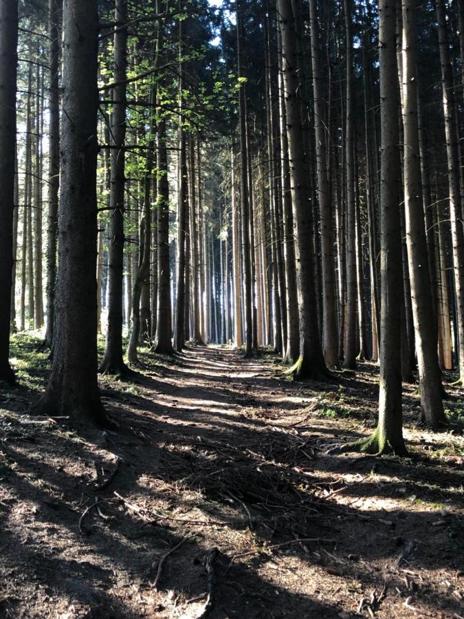 Wanderlust Chiemgau Διαμέρισμα Bad Endorf Εξωτερικό φωτογραφία